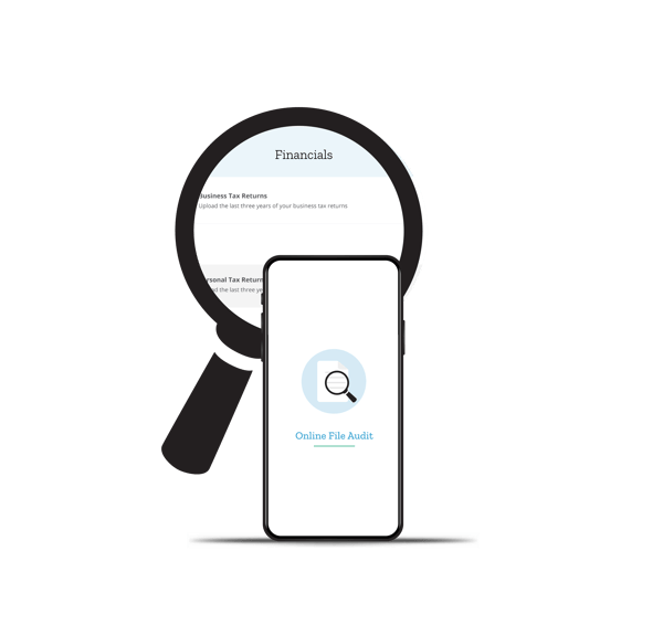 Online File Audit